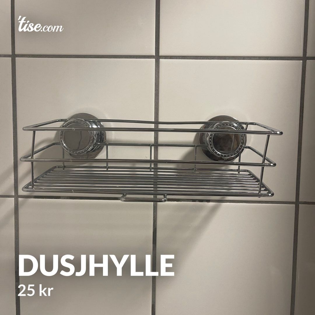 Dusjhylle