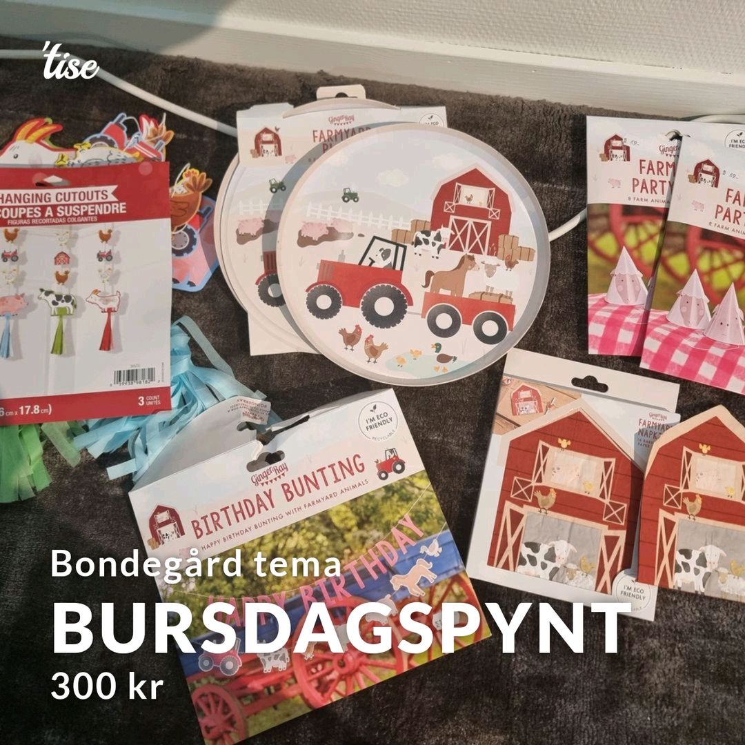 Bursdagspynt