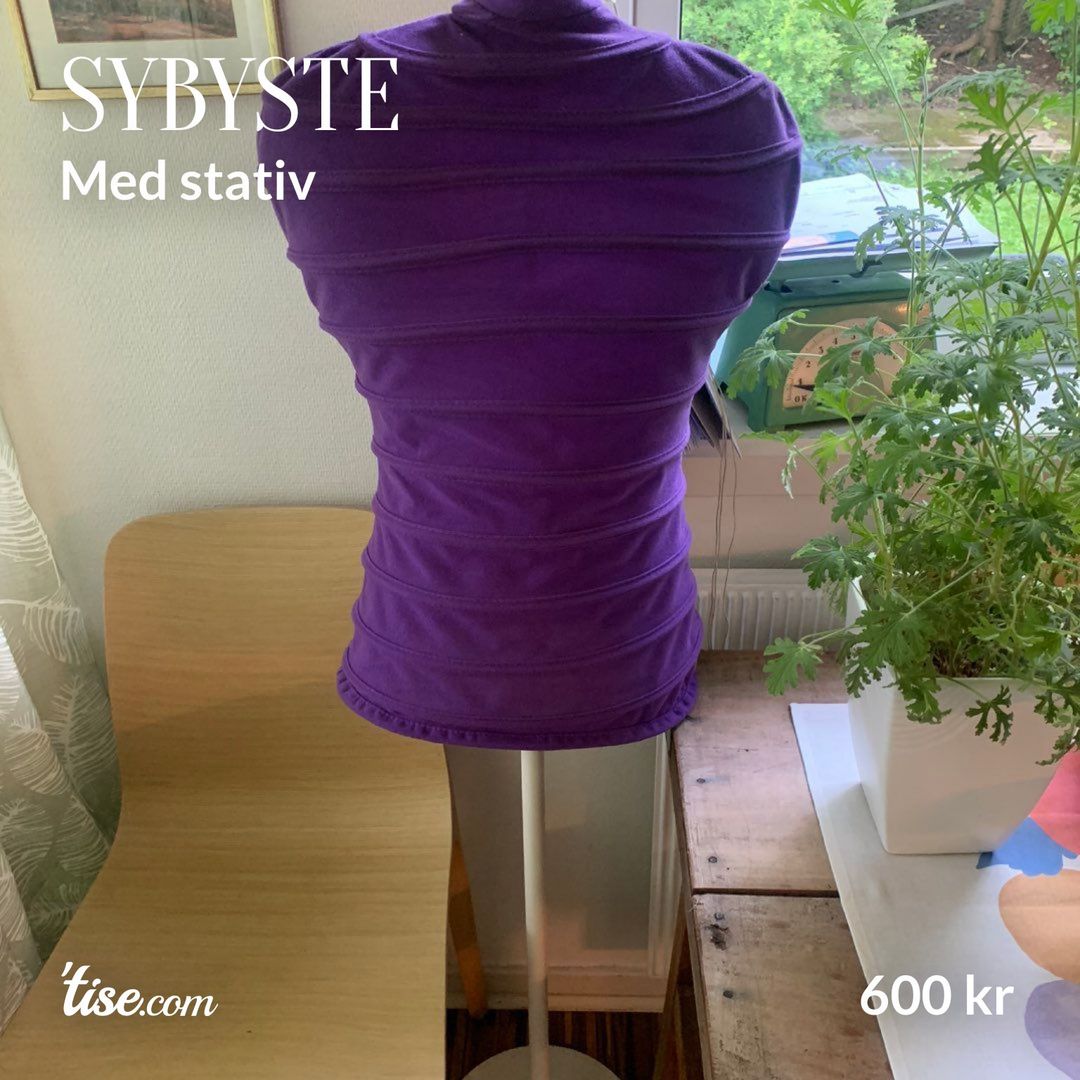 SYBYSTE