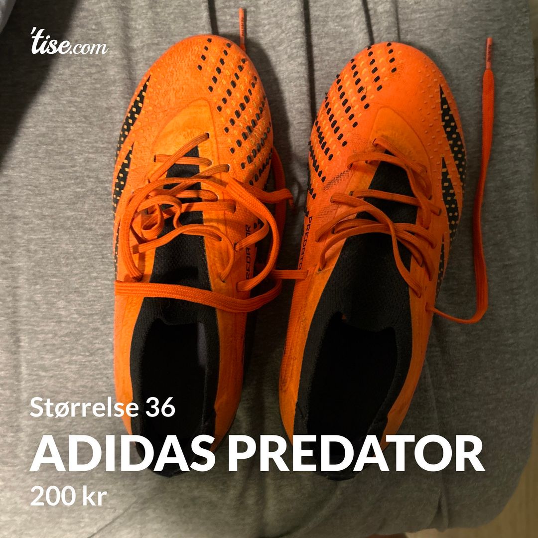 Adidas predator