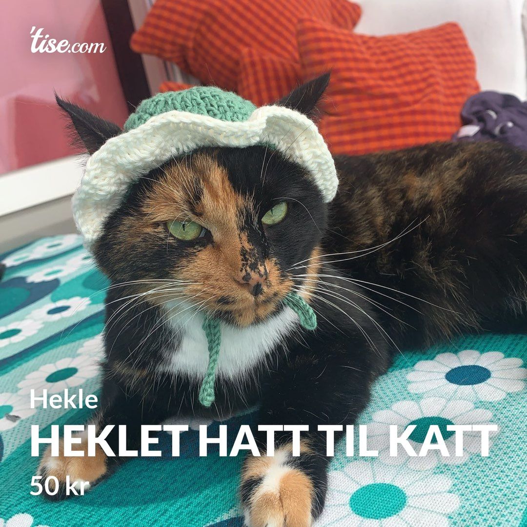 Heklet hatt til katt