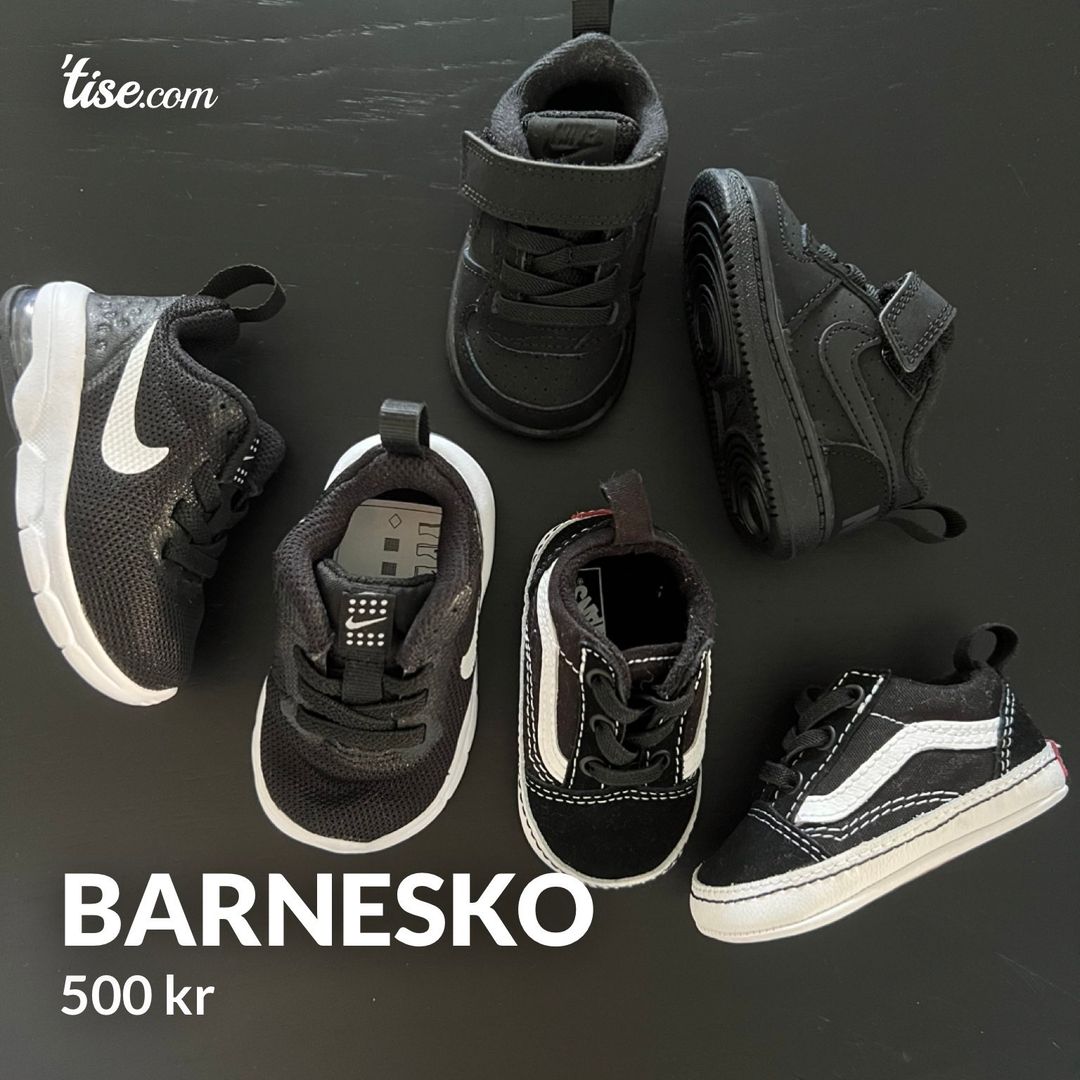 Barnesko