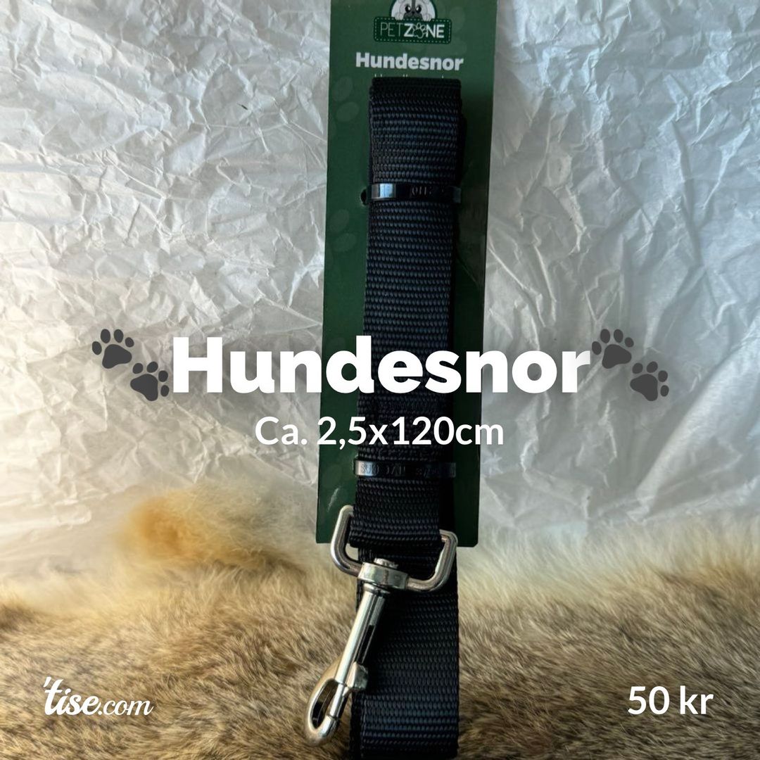 🐾Hundesnor🐾