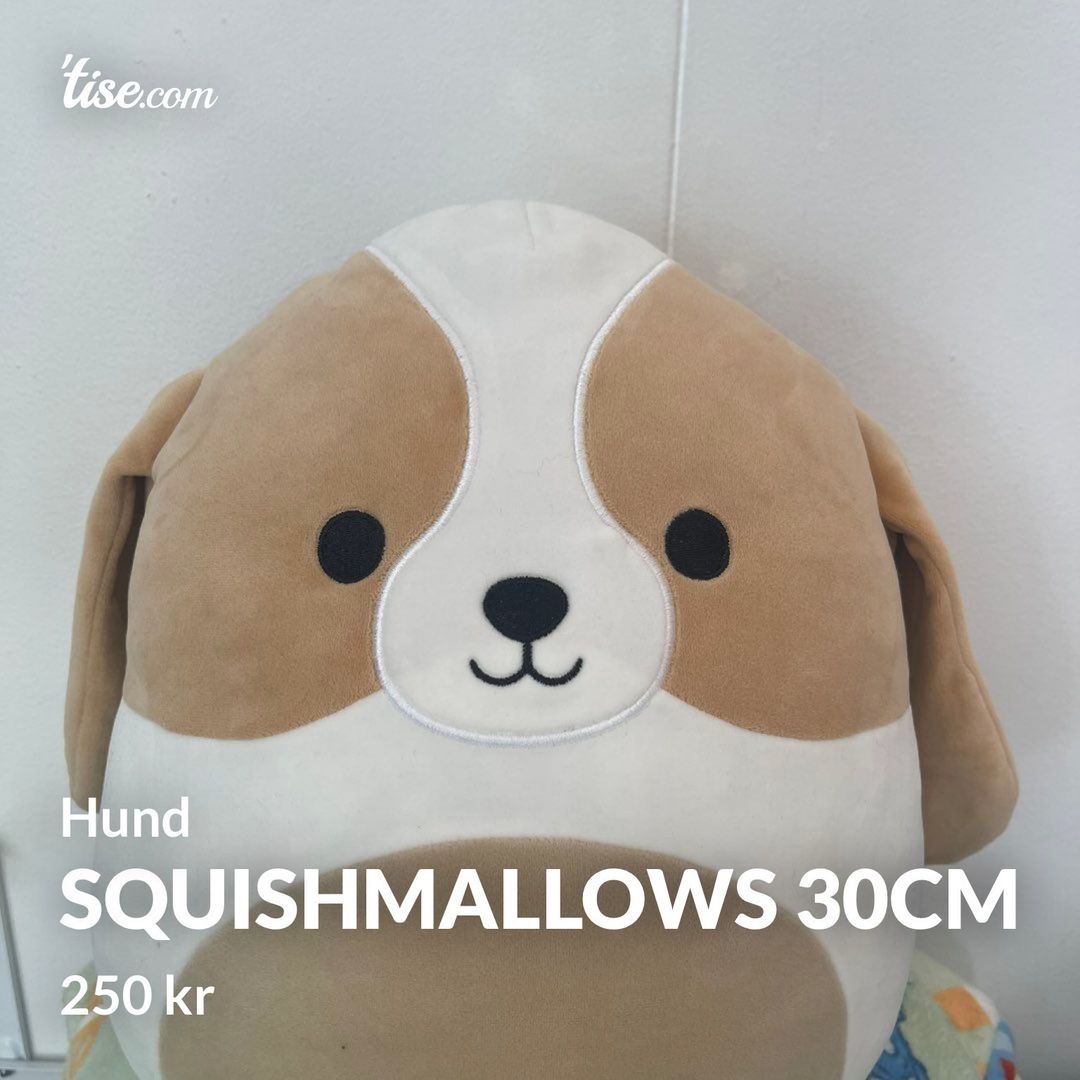 Squishmallows 30cm