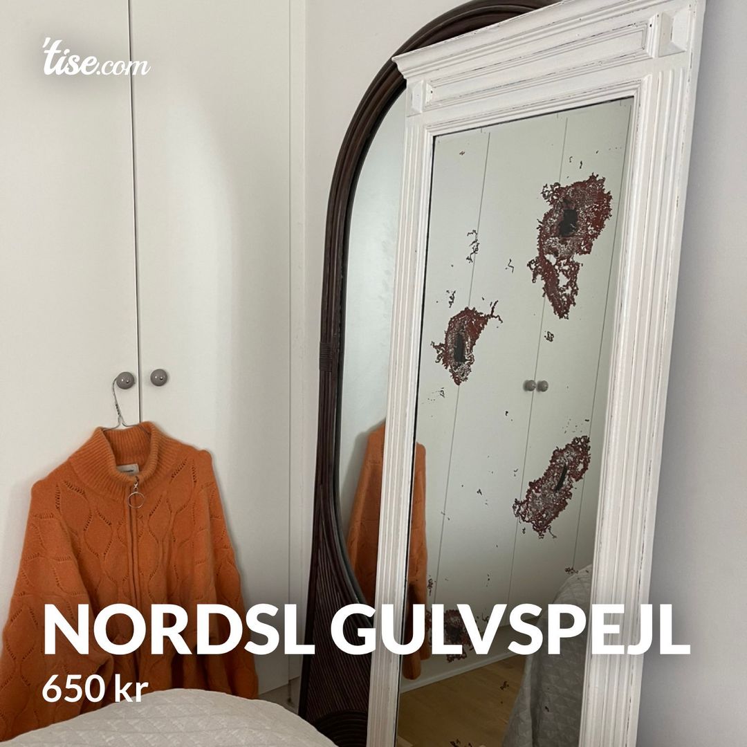 Nordsl gulvspejl