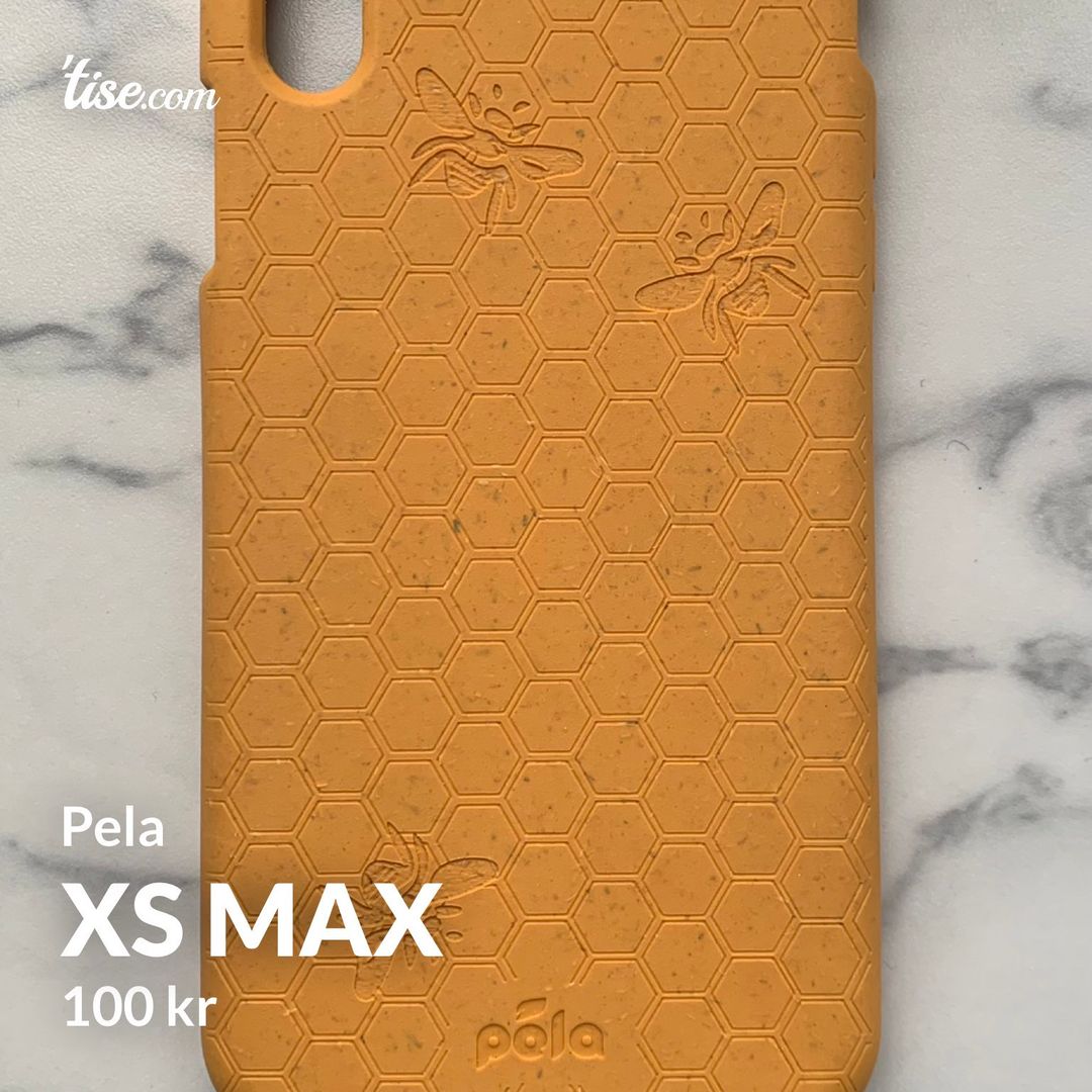 XS Max