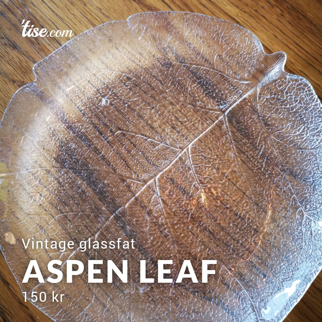 Aspen Leaf