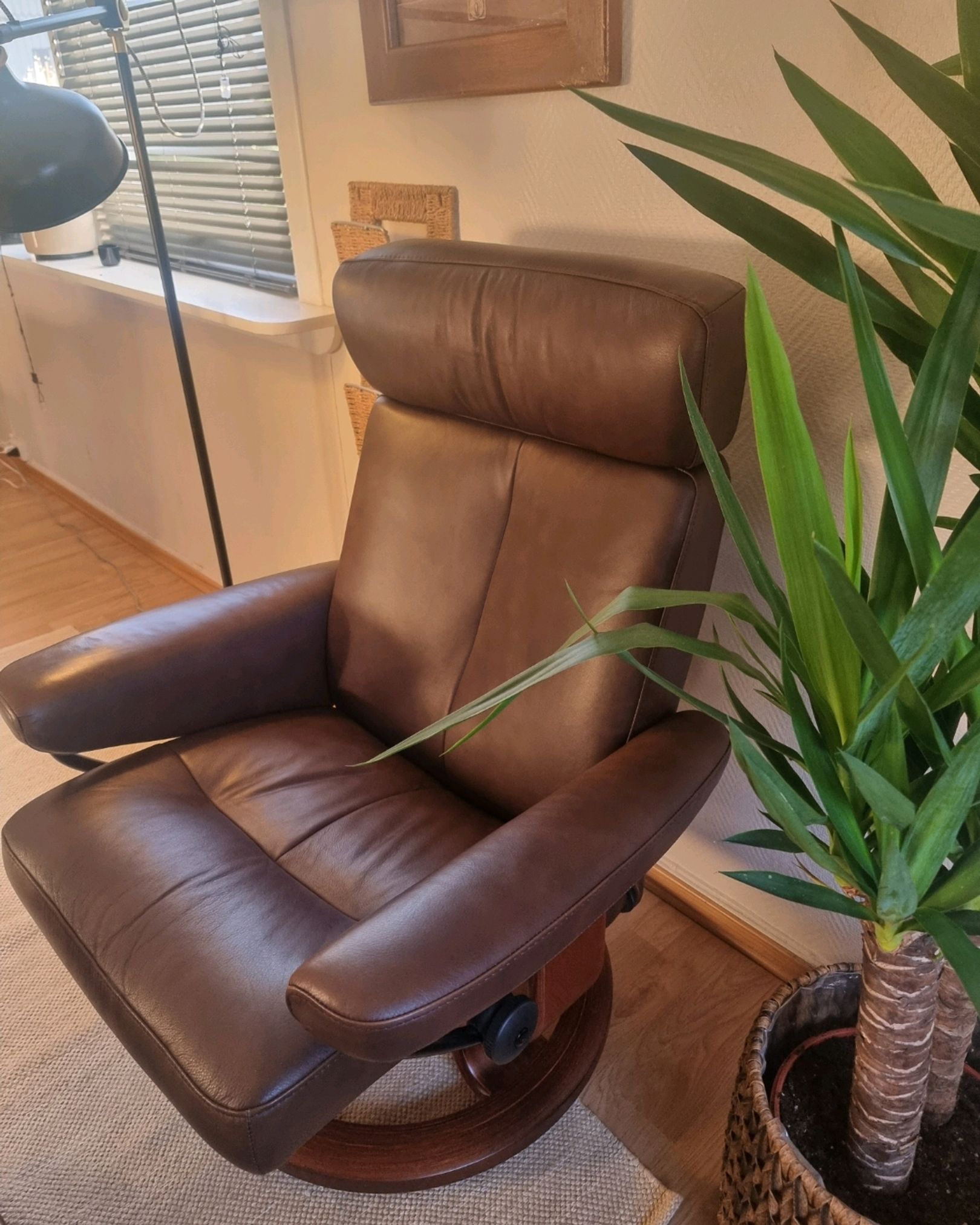 Ekornes Stressless