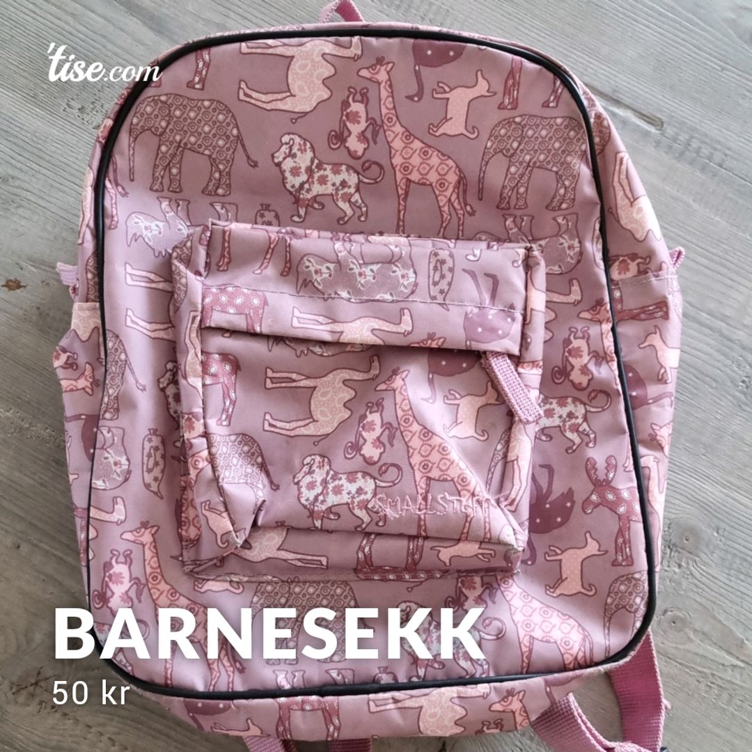 Barnesekk