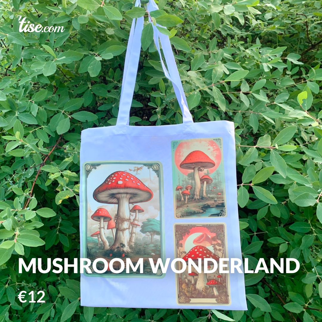 Mushroom wonderland