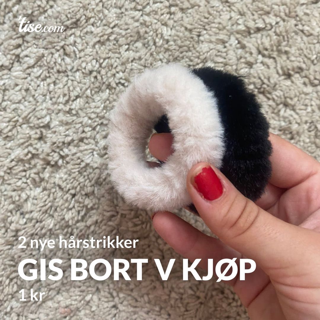 GIS BORT v kjøp