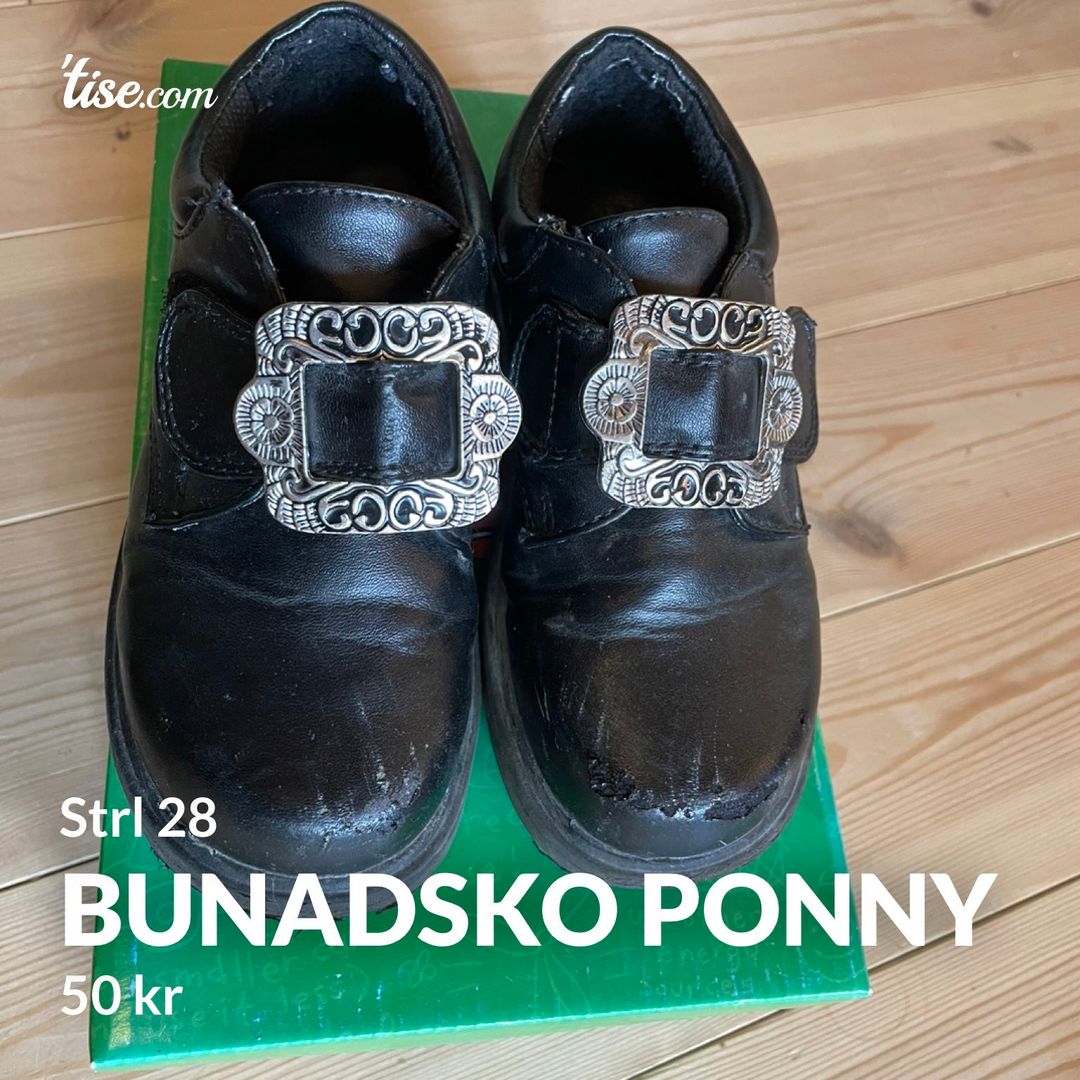 Bunadsko Ponny