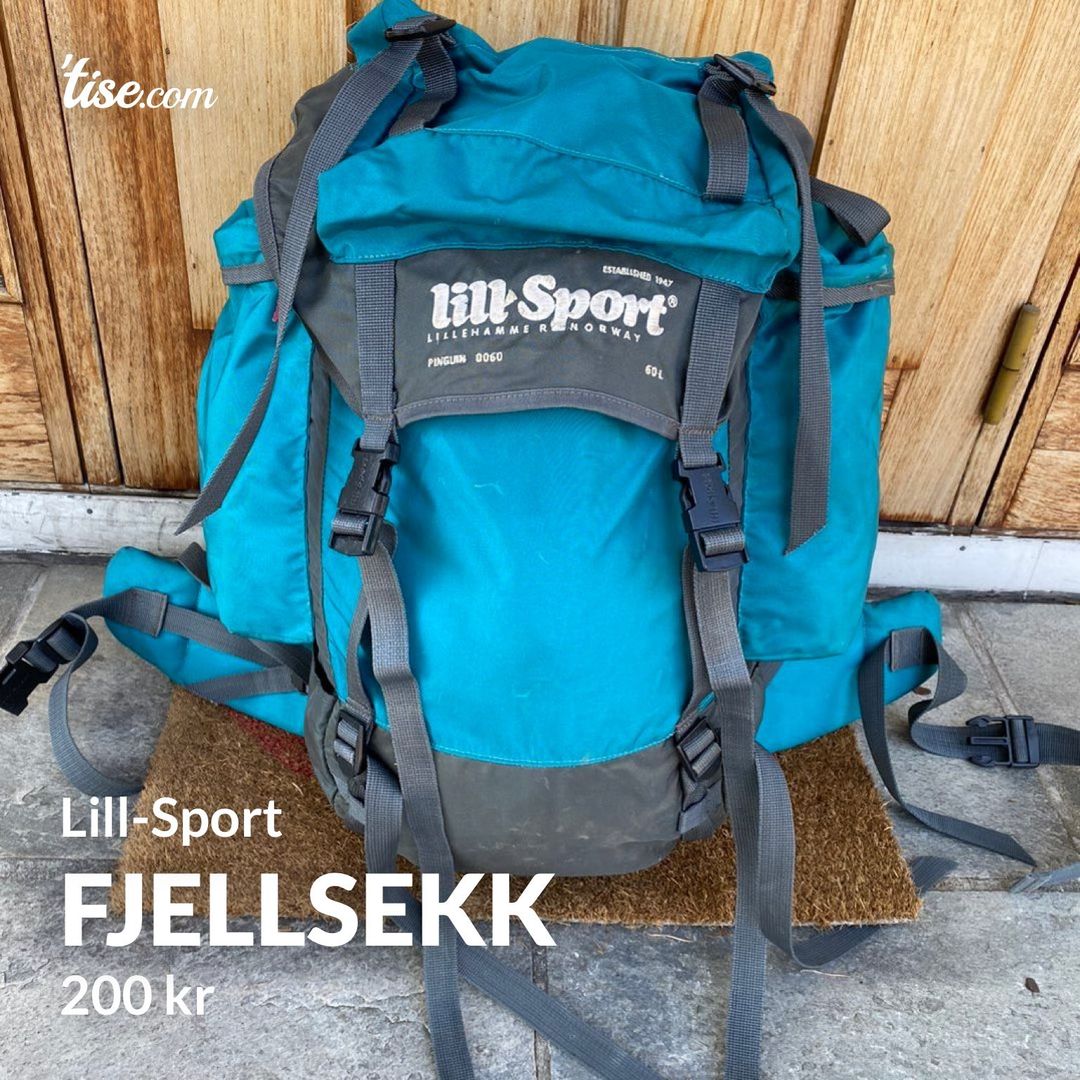 Fjellsekk