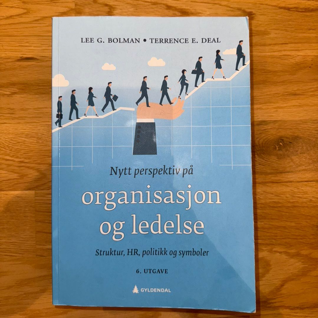 Organisasjon ledelse