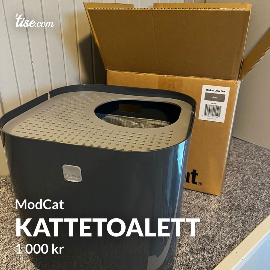 Kattetoalett