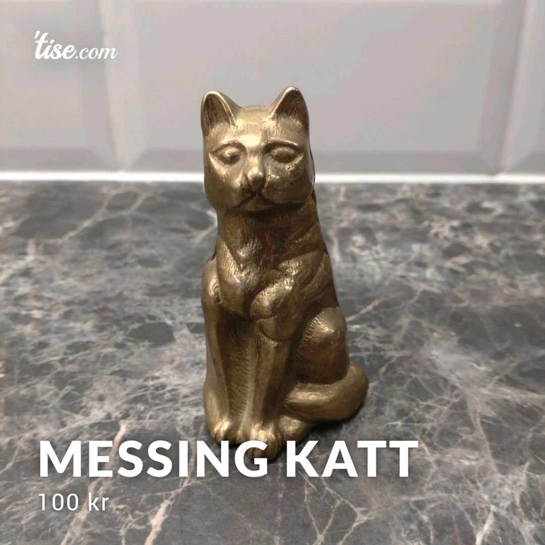 Messing Katt