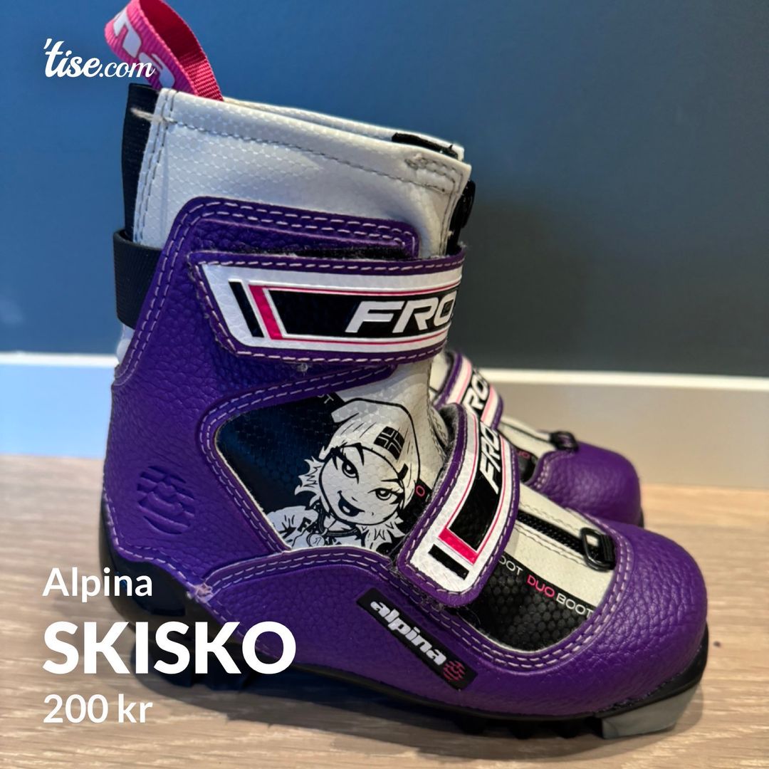 Skisko