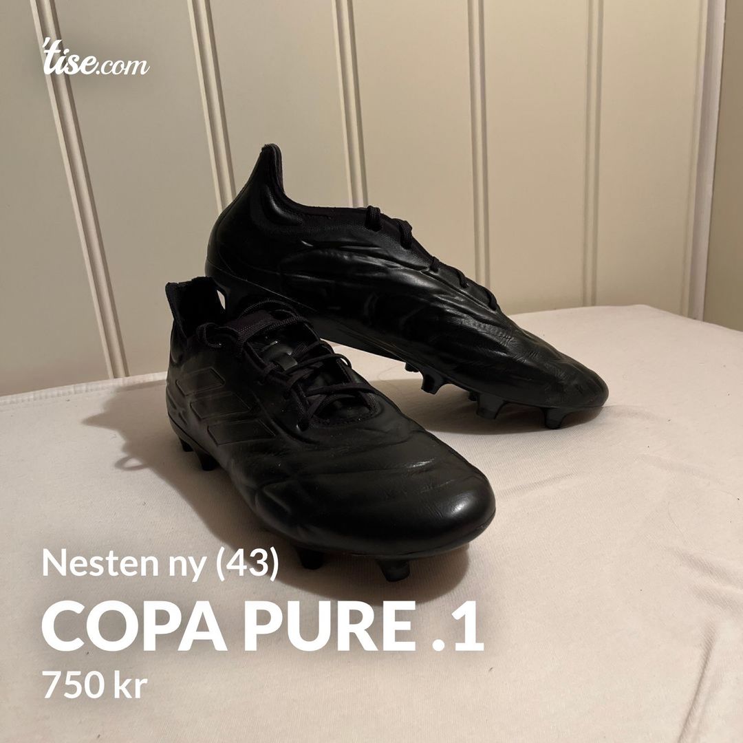 Copa pure 1