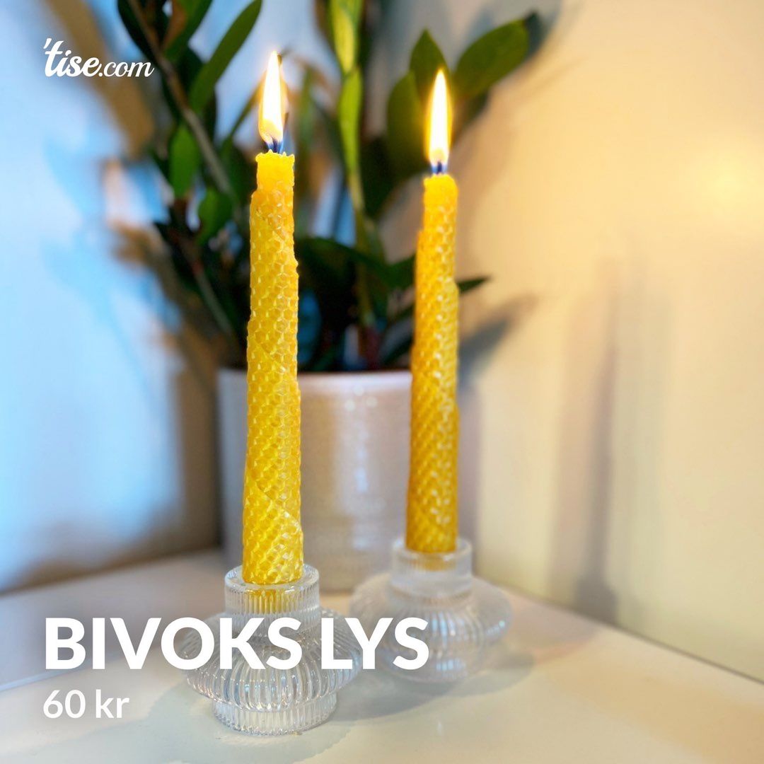 Bivoks lys