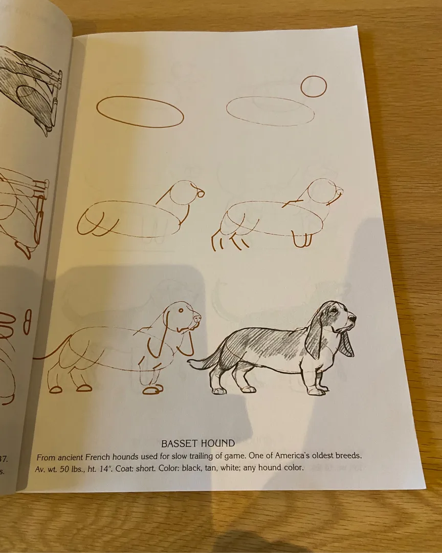 How to draw 50 dogs