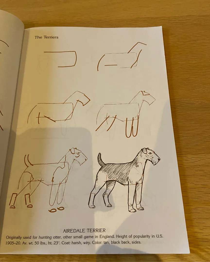 How to draw 50 dogs