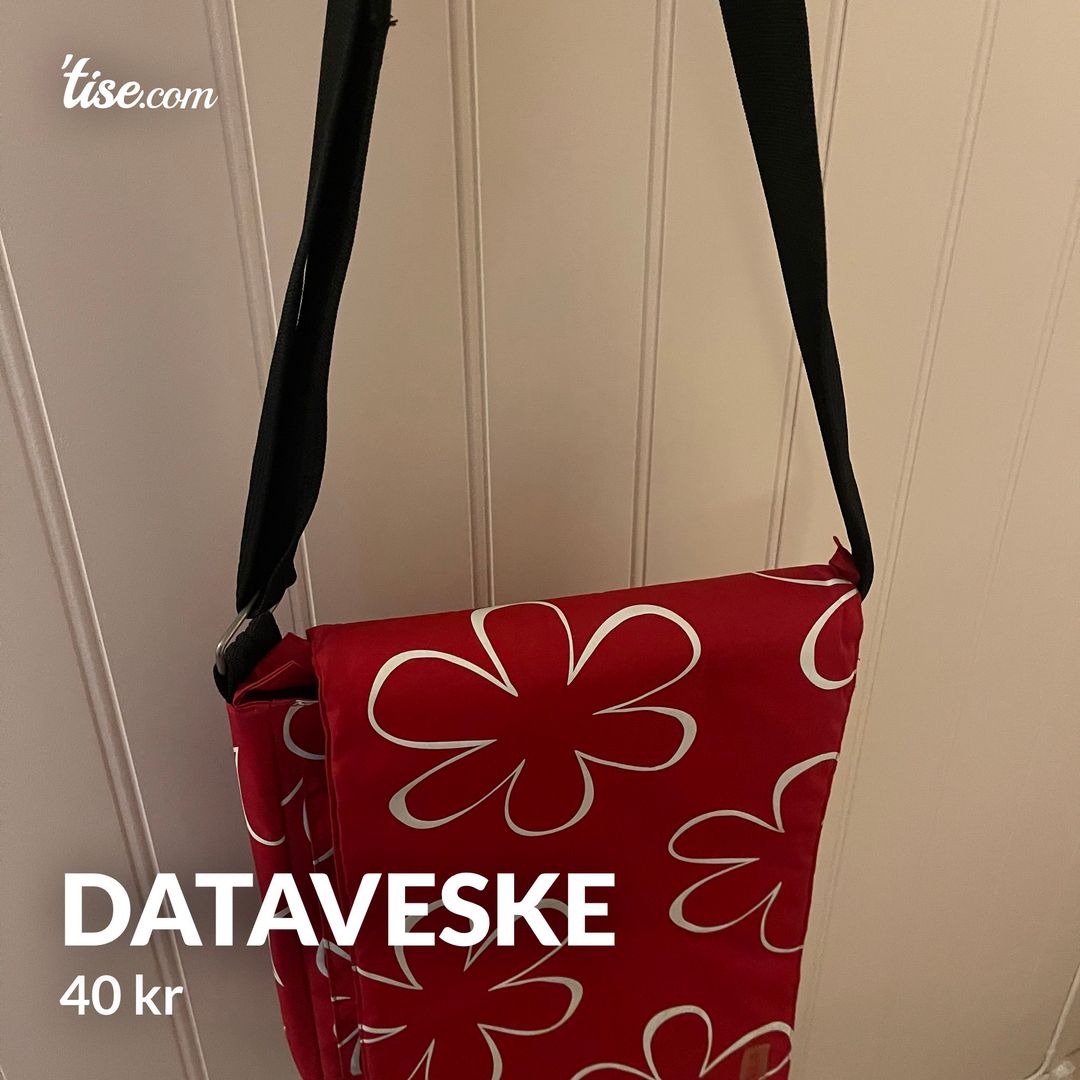 Dataveske