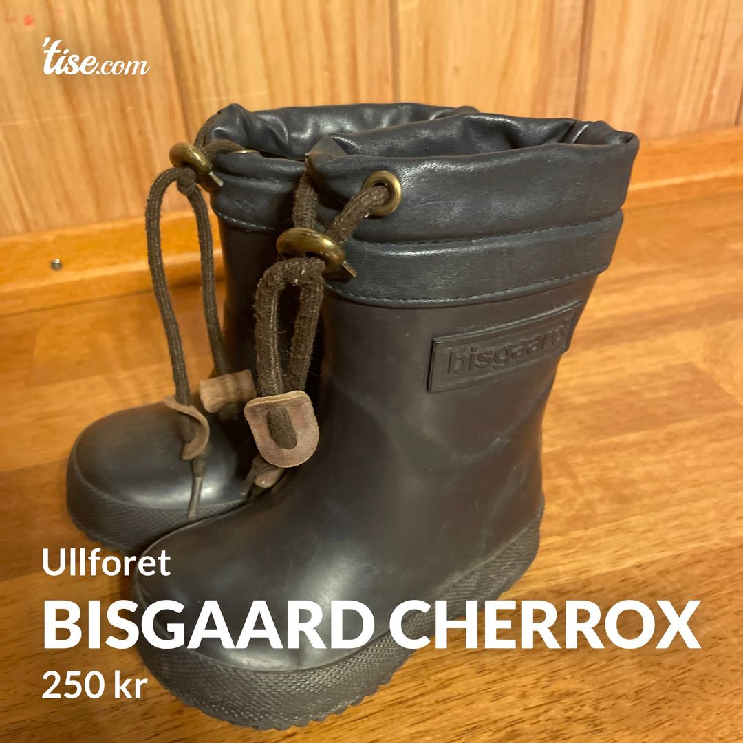 Bisgaard cherrox