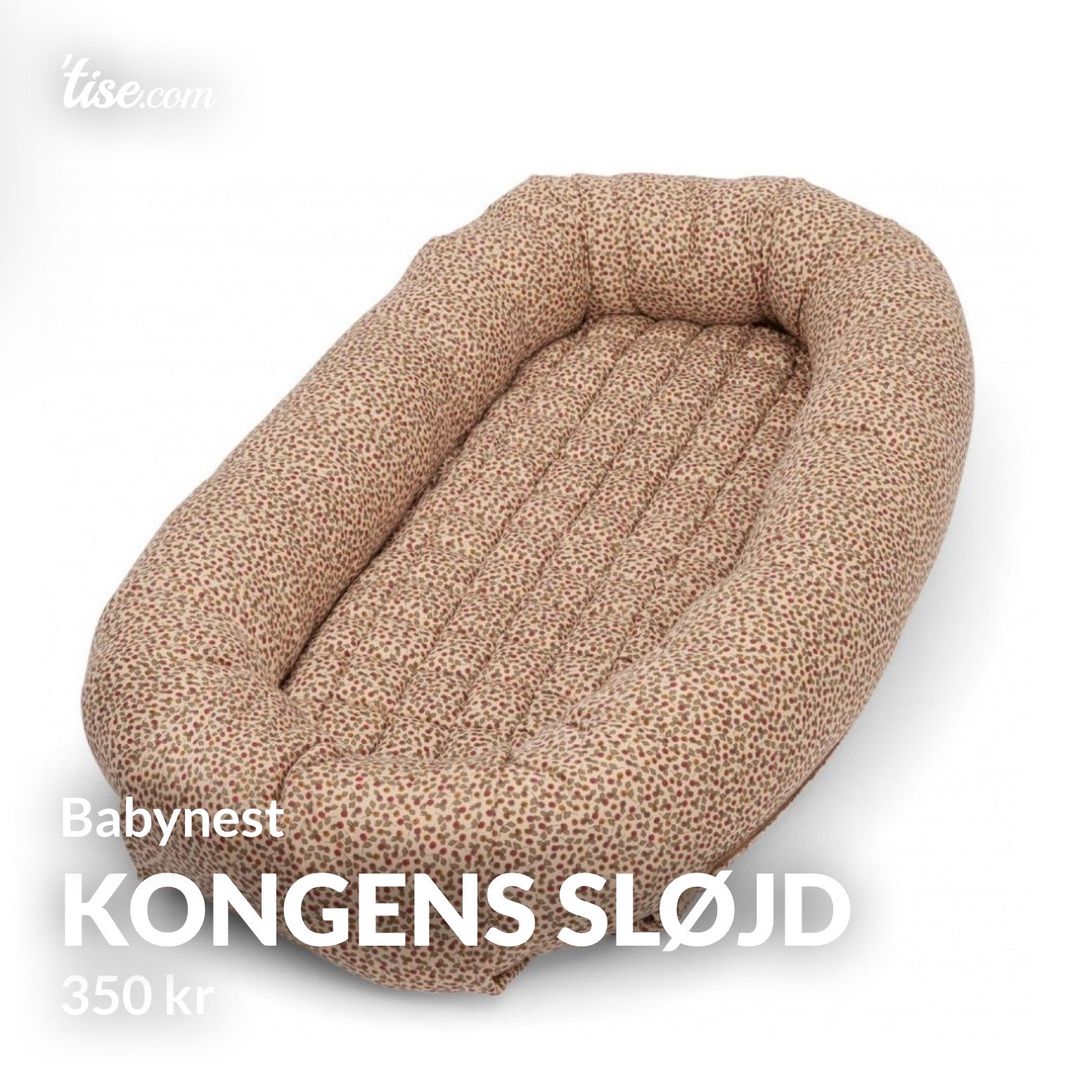 Kongens sløjd