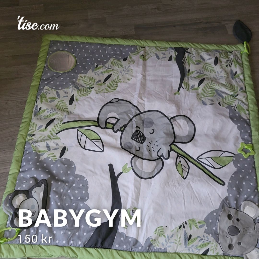 Babygym