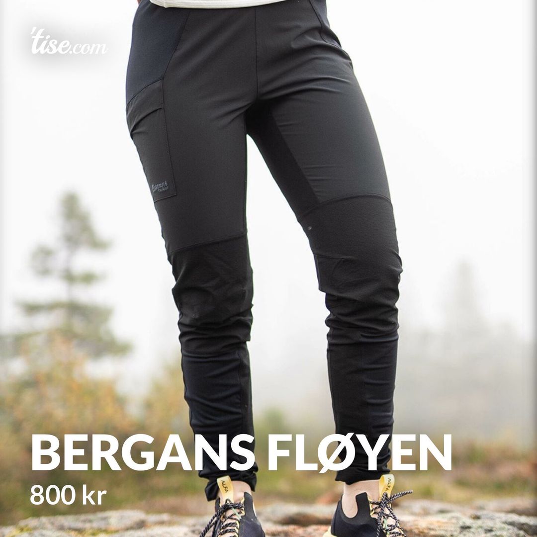 Bergans fløyen