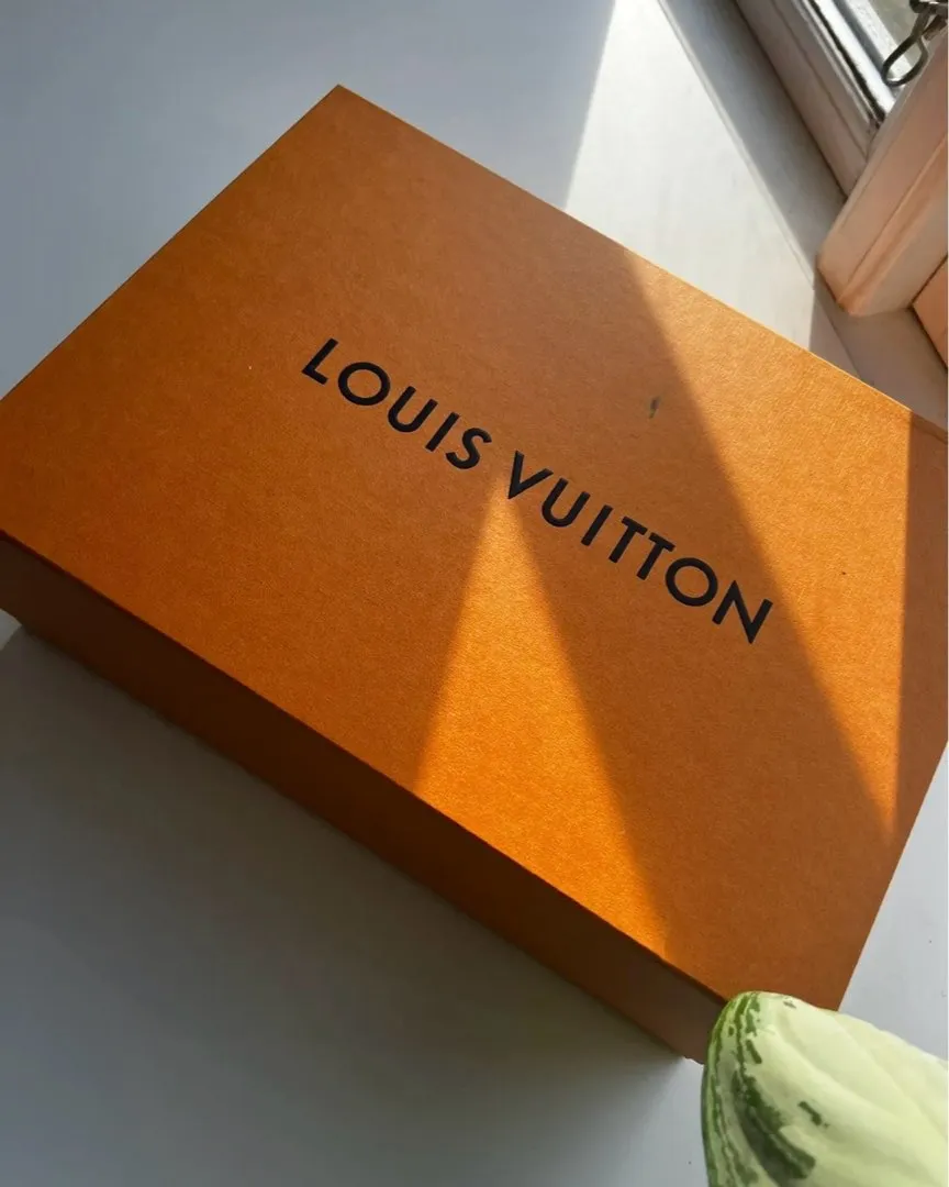 Louis Vuitton taske