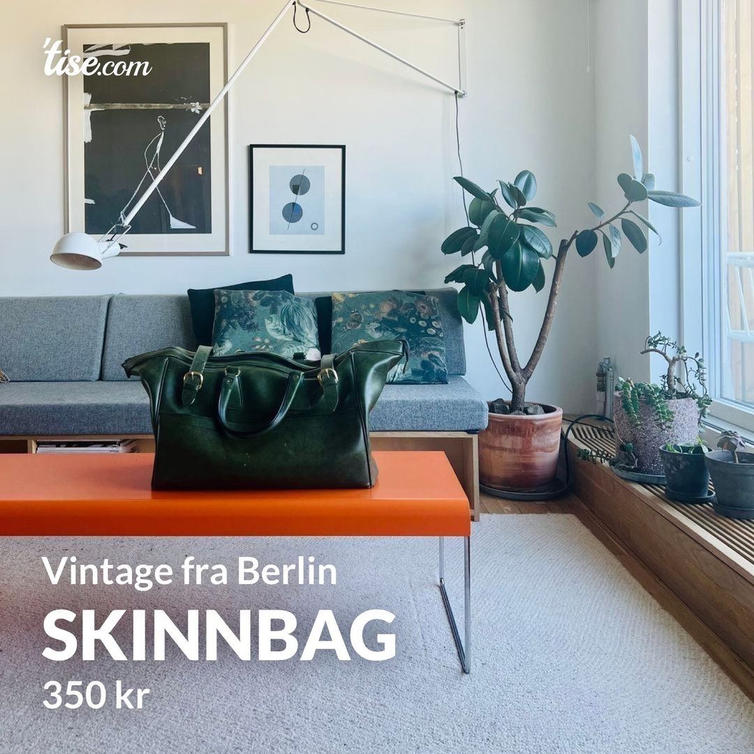 Skinnbag