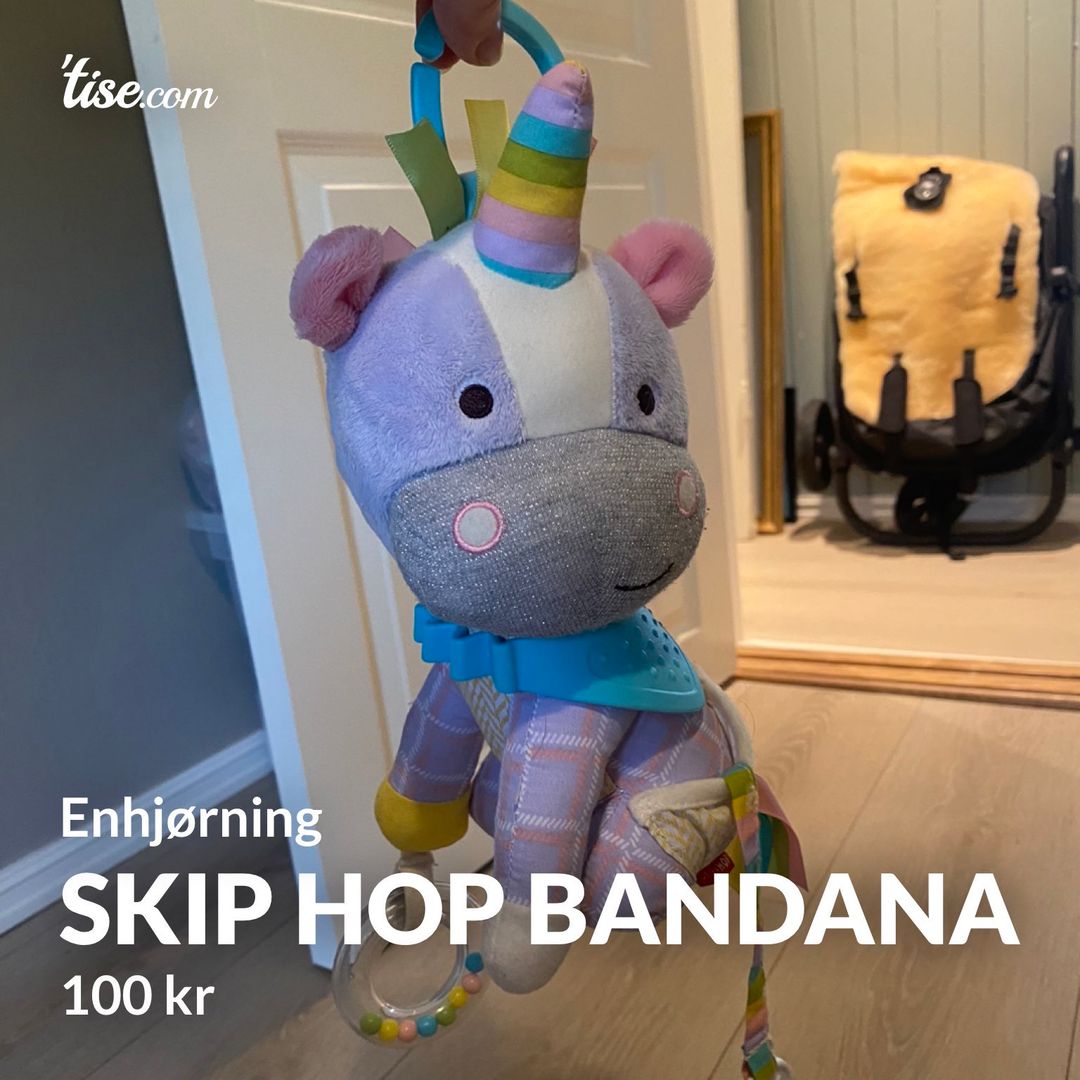 Skip Hop Bandana
