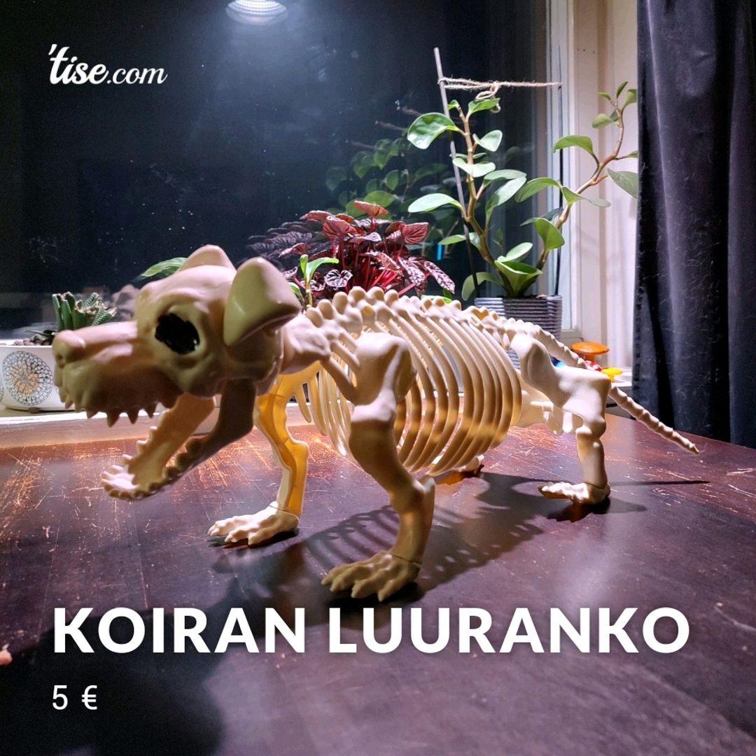 Koiran Luuranko