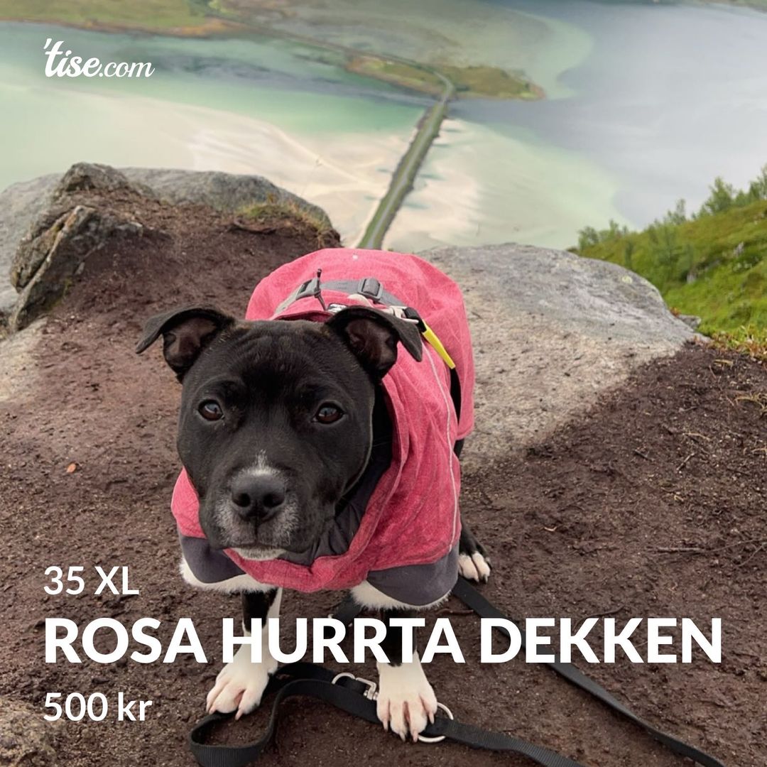 Rosa Hurrta dekken