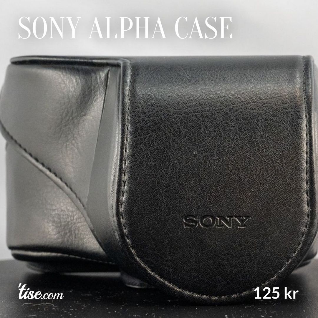 Sony Alpha case