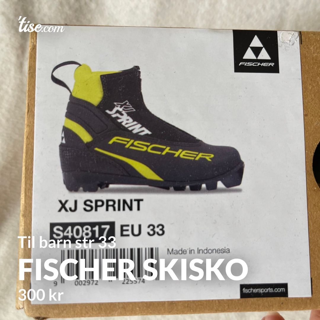 Fischer skisko