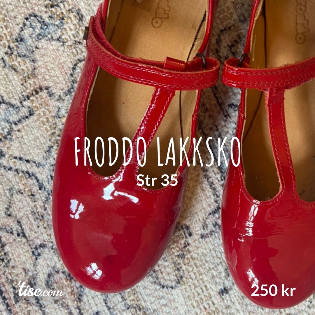 Froddo lakksko