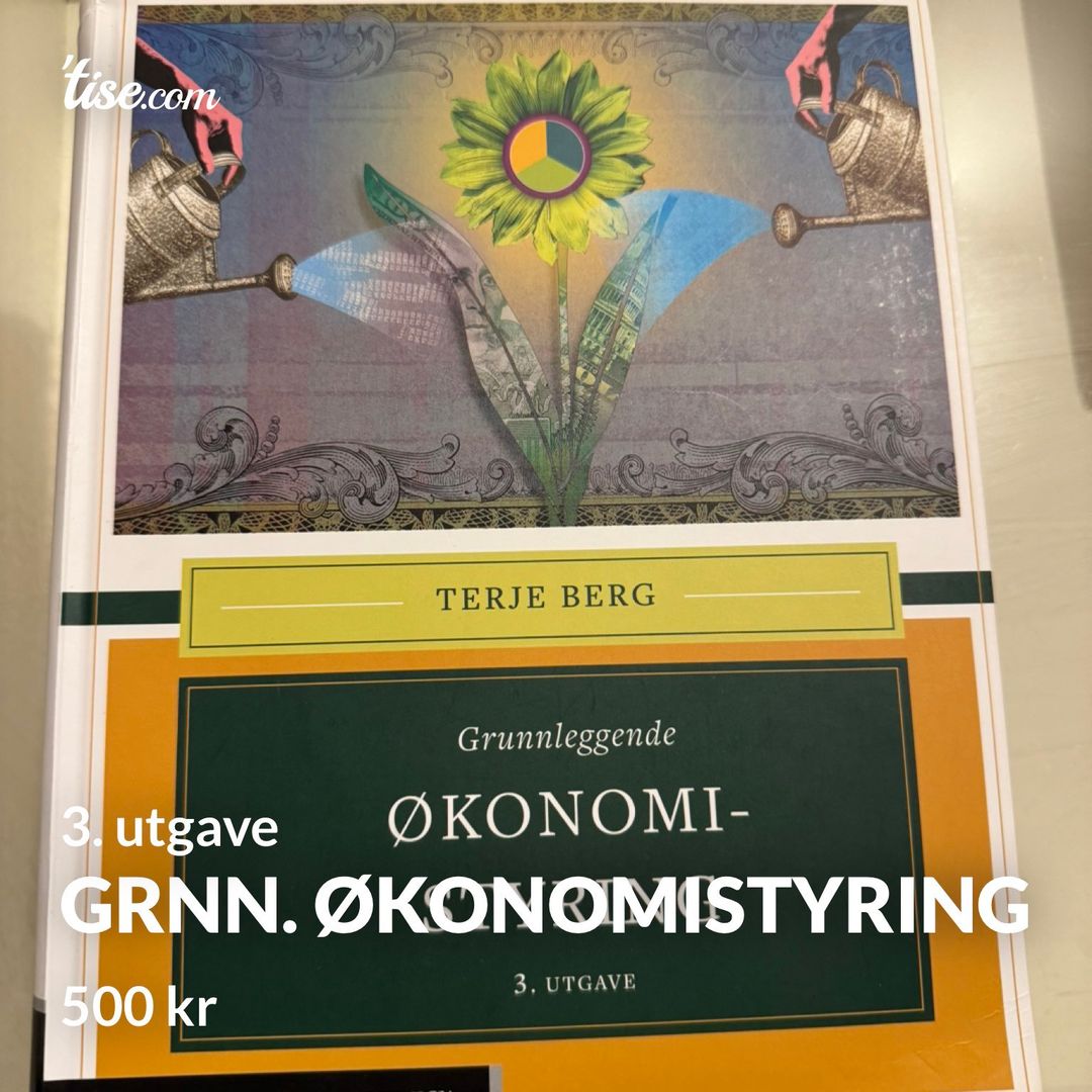 Grnn Økonomistyring