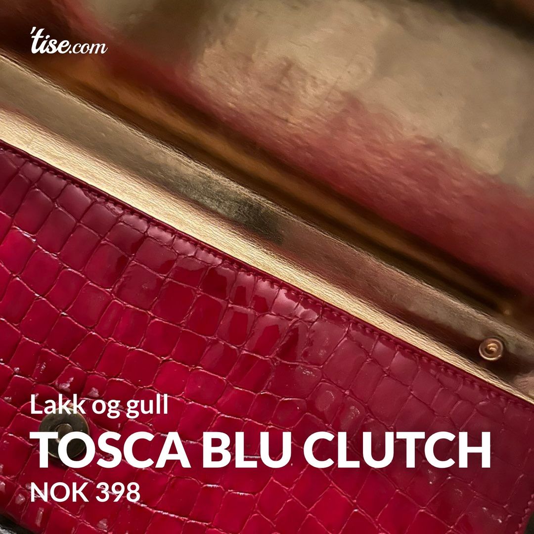 Tosca Blu clutch