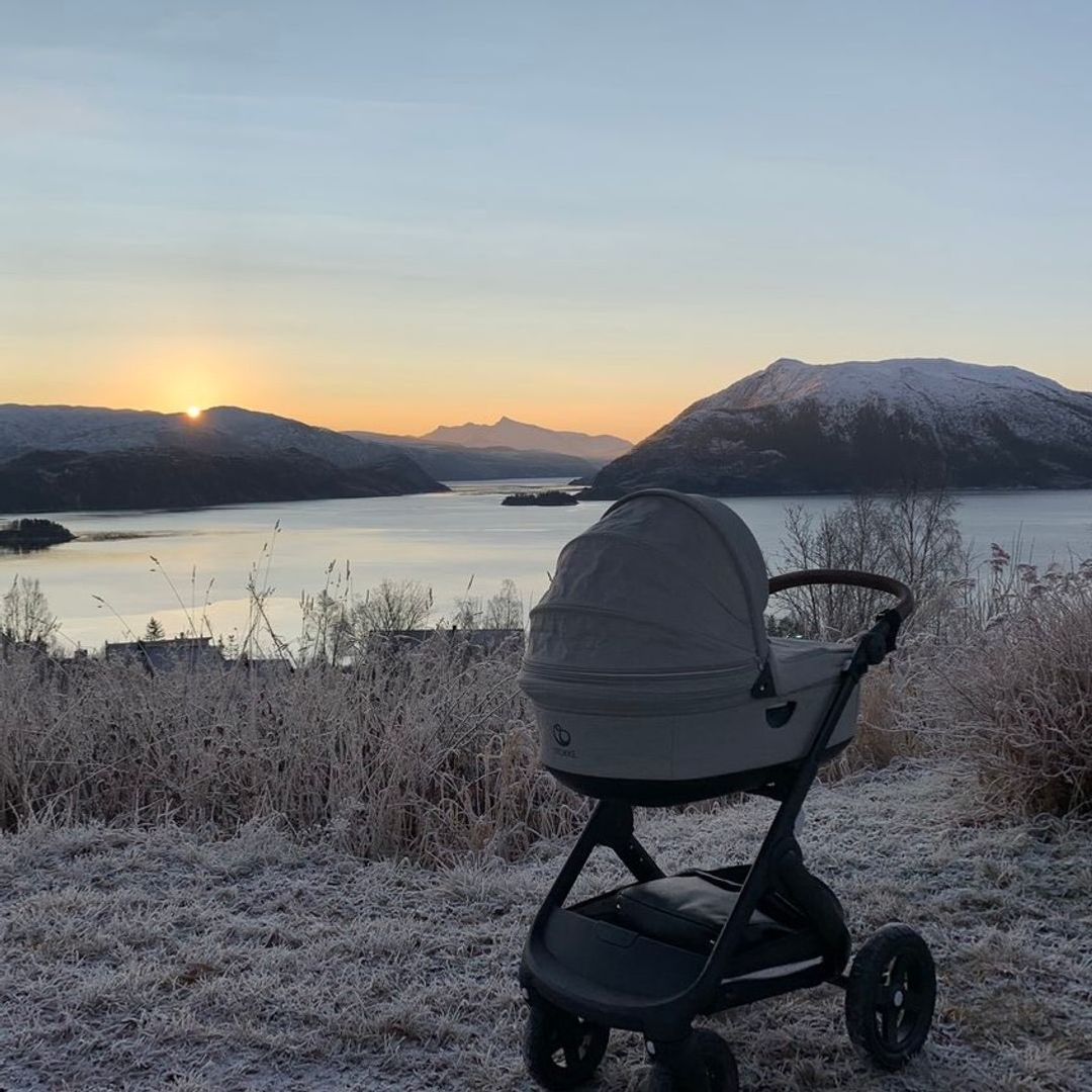 Stokke trailz