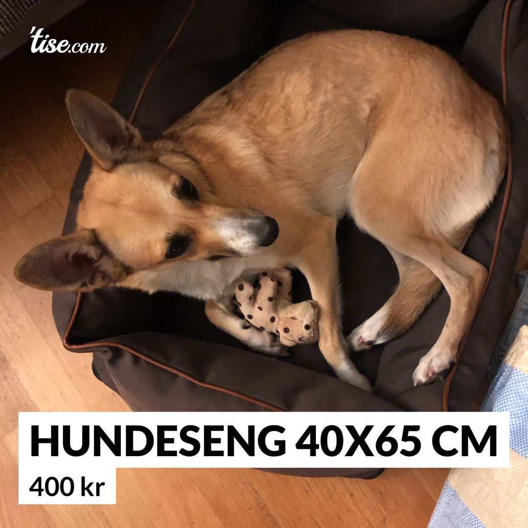 Hundeseng 40x65 cm