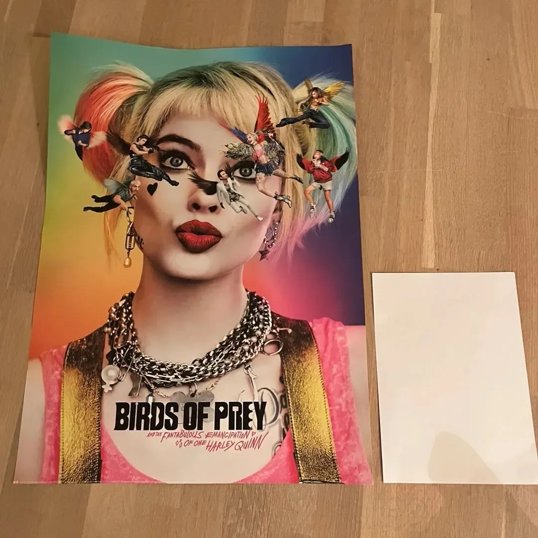 Birds of prey plakat