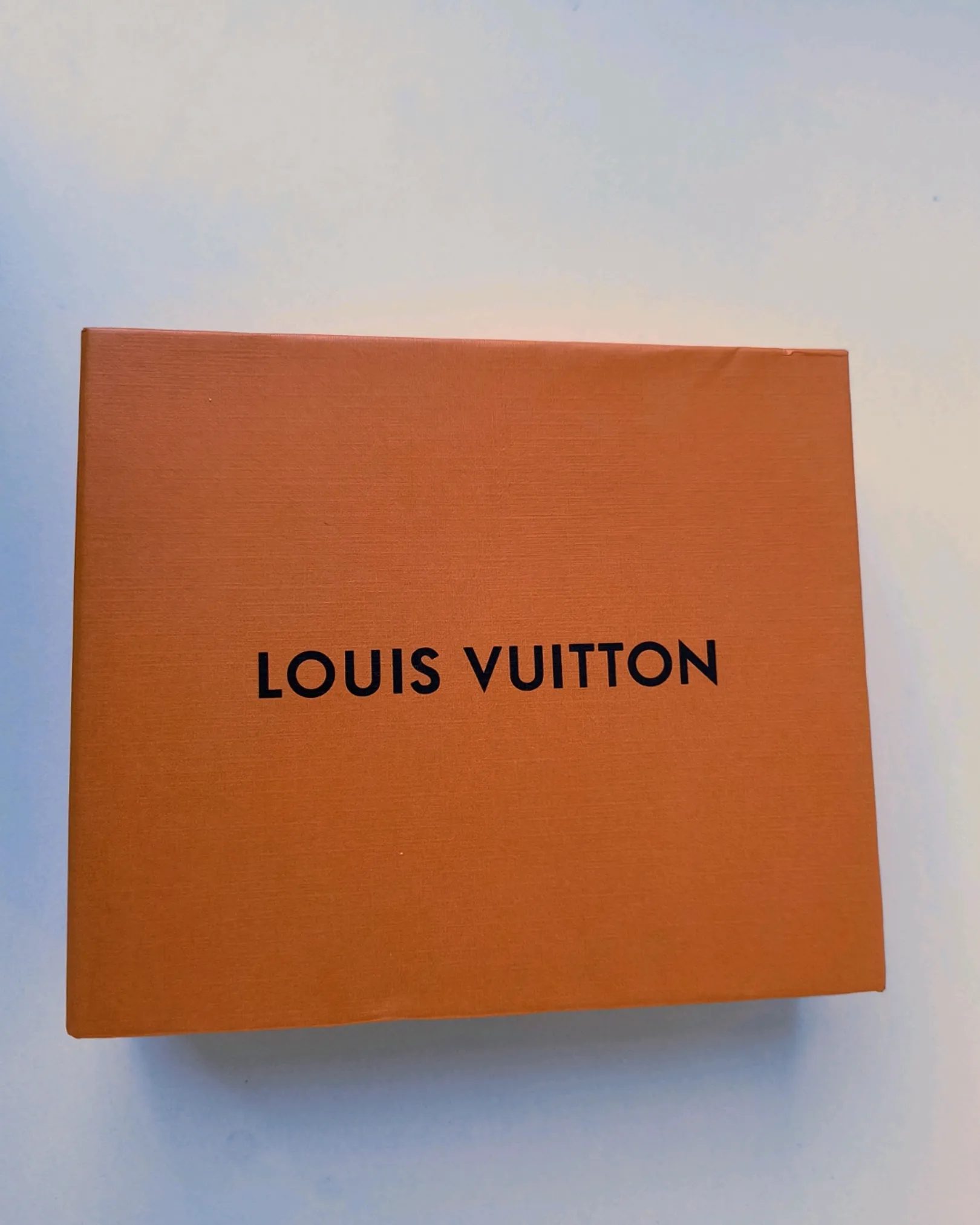 Louis Vuitton Pung