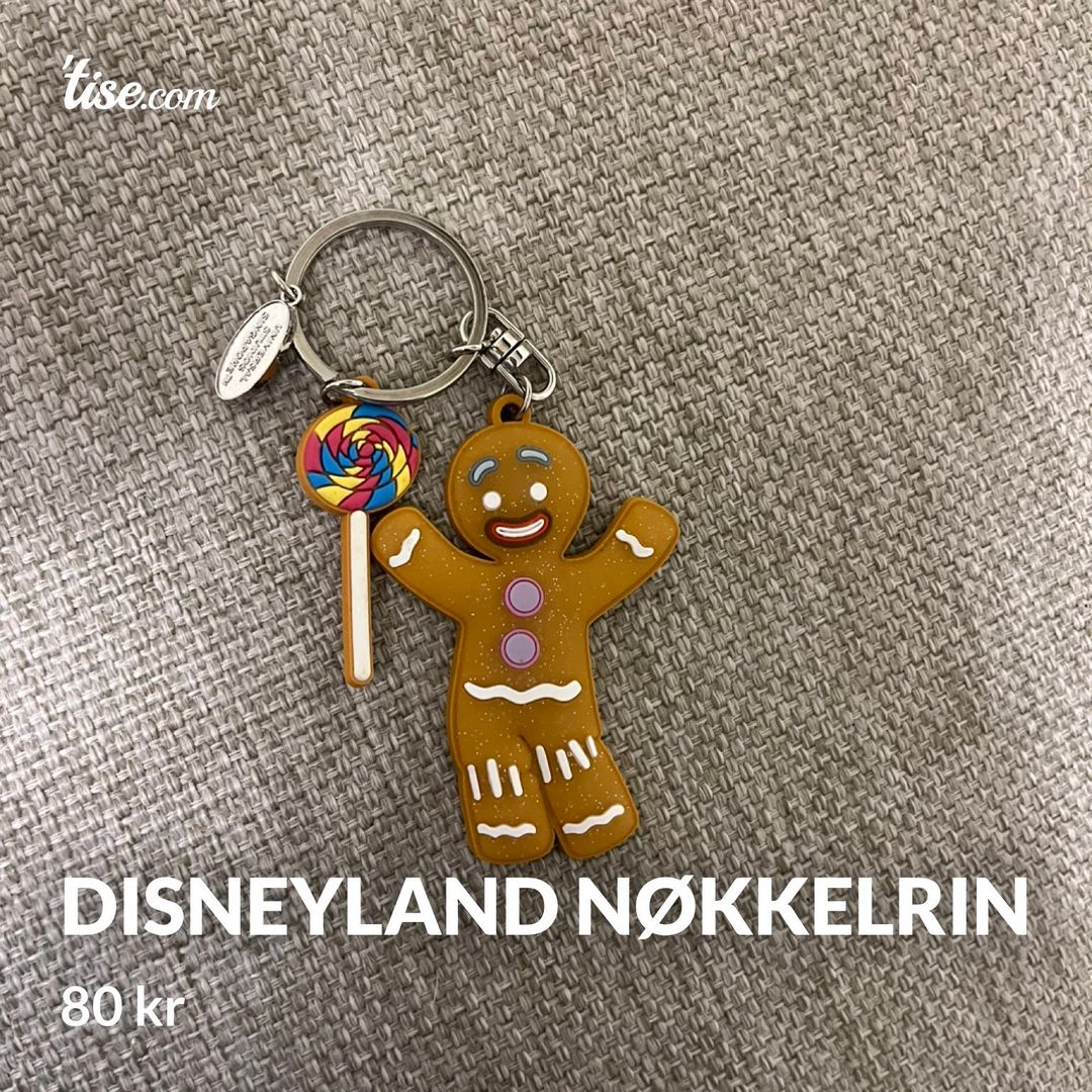 Disneyland nøkkelrin