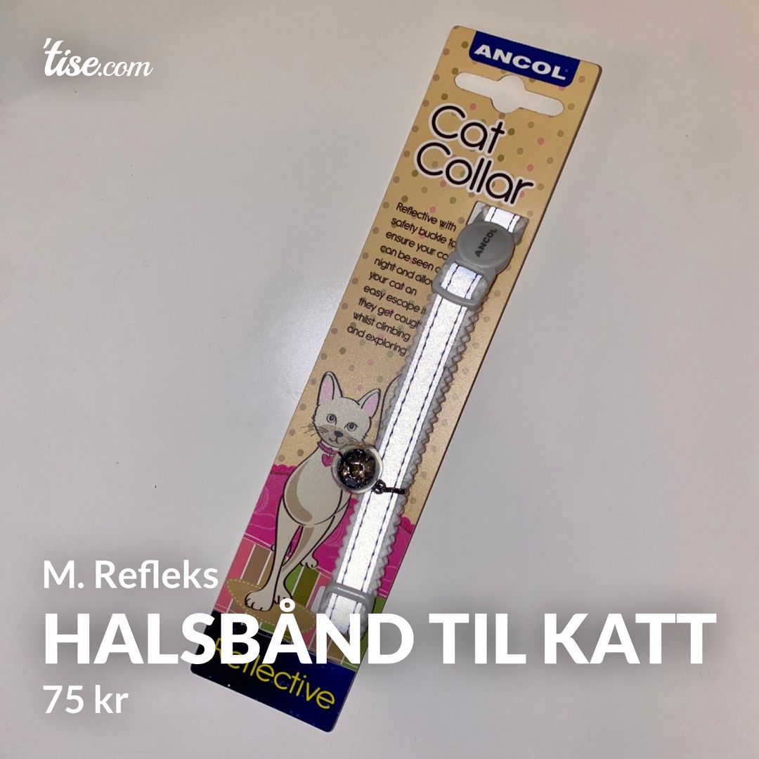 Halsbånd til katt