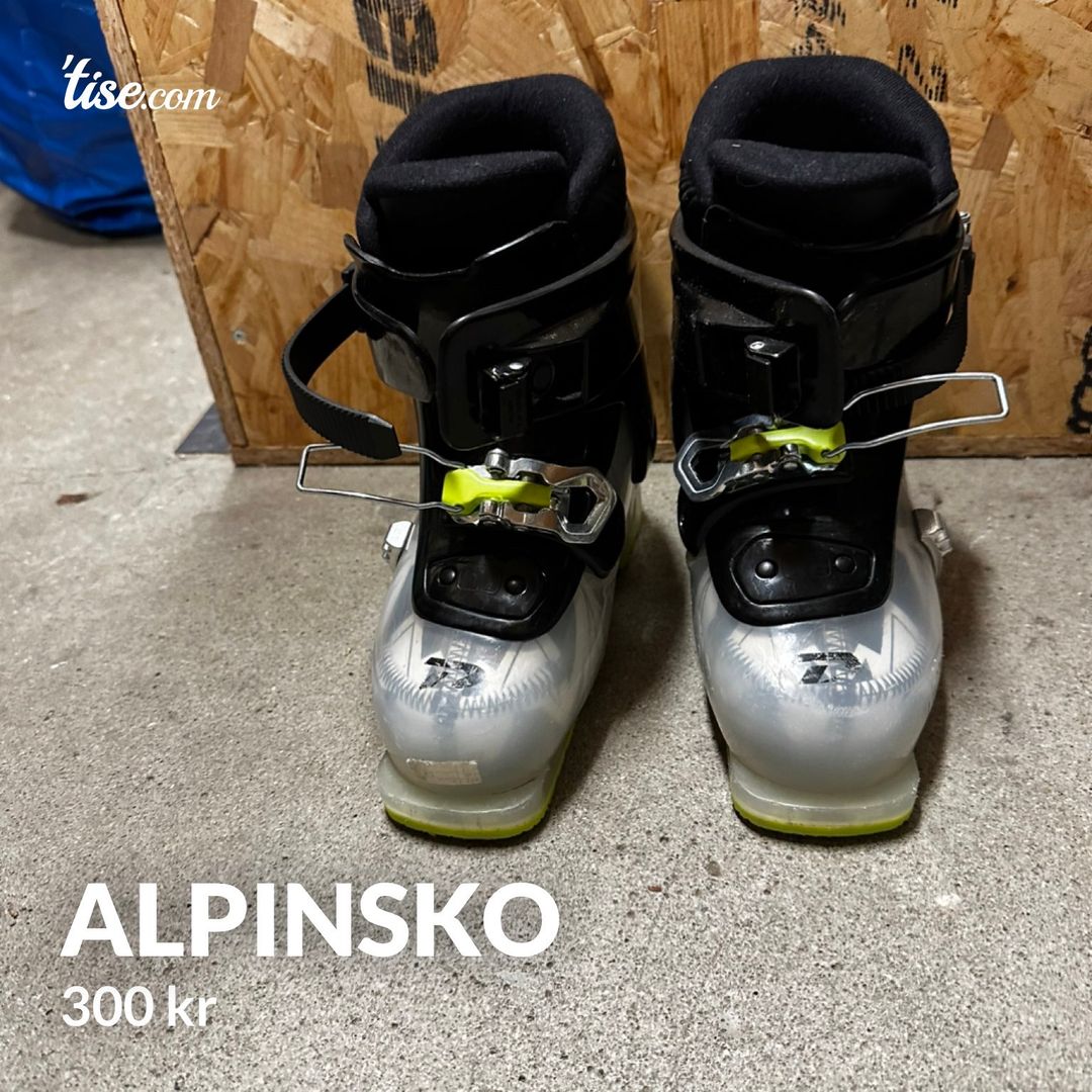 Alpinsko