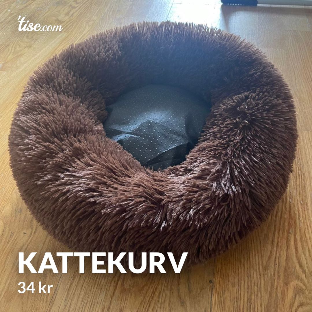 Kattekurv