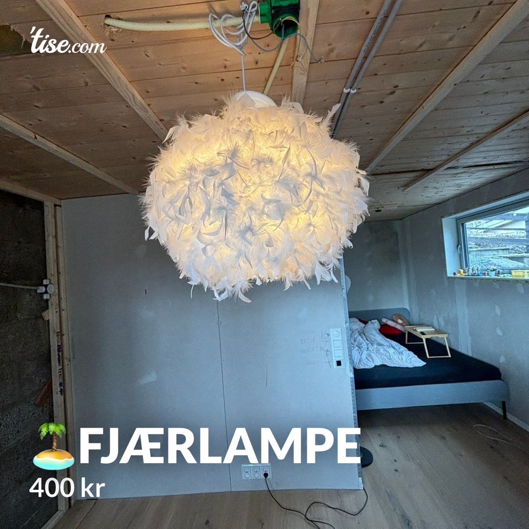 🏝️Fjærlampe