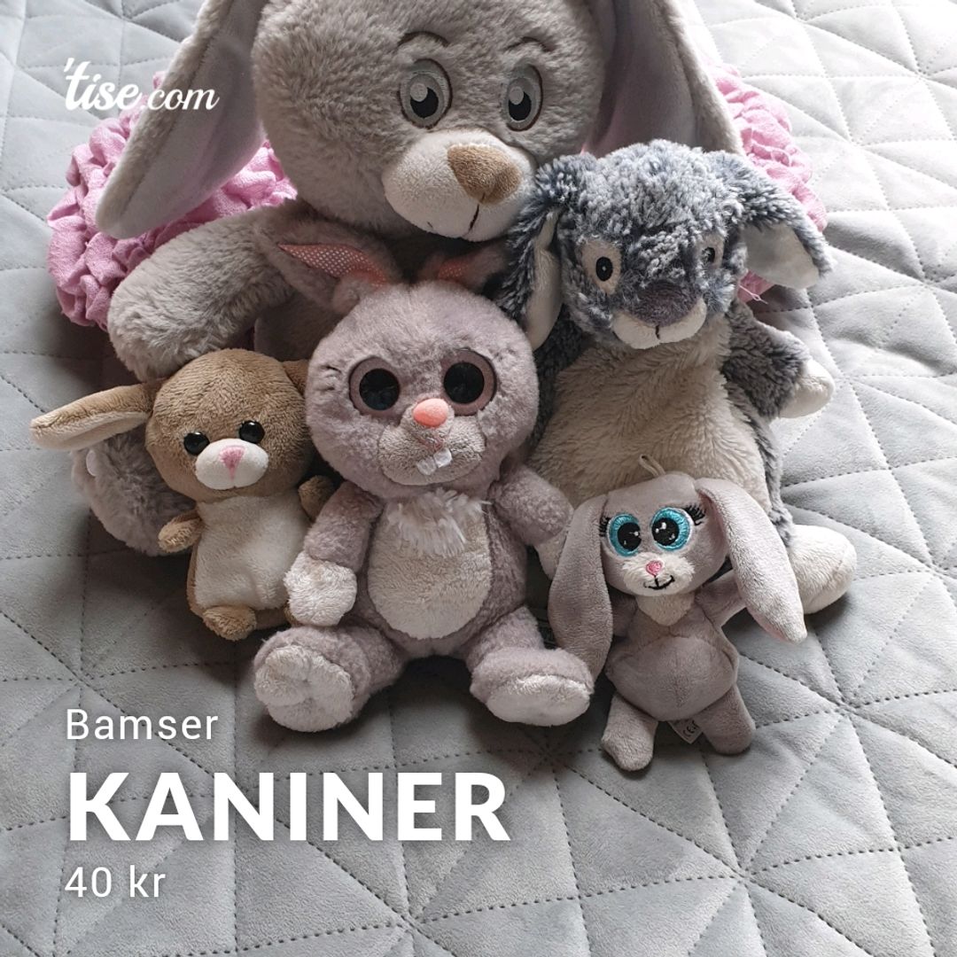 Kaniner